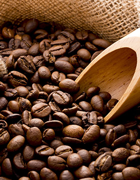 SELECTED COFFEE BEANS　　